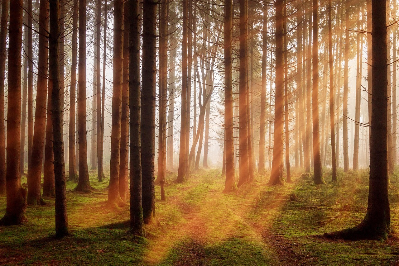 Natuurlijk daglicht verlicht een lichte, luchtige keuken. Natuurlijk daglicht verlicht een lichte, luchtige keuken.