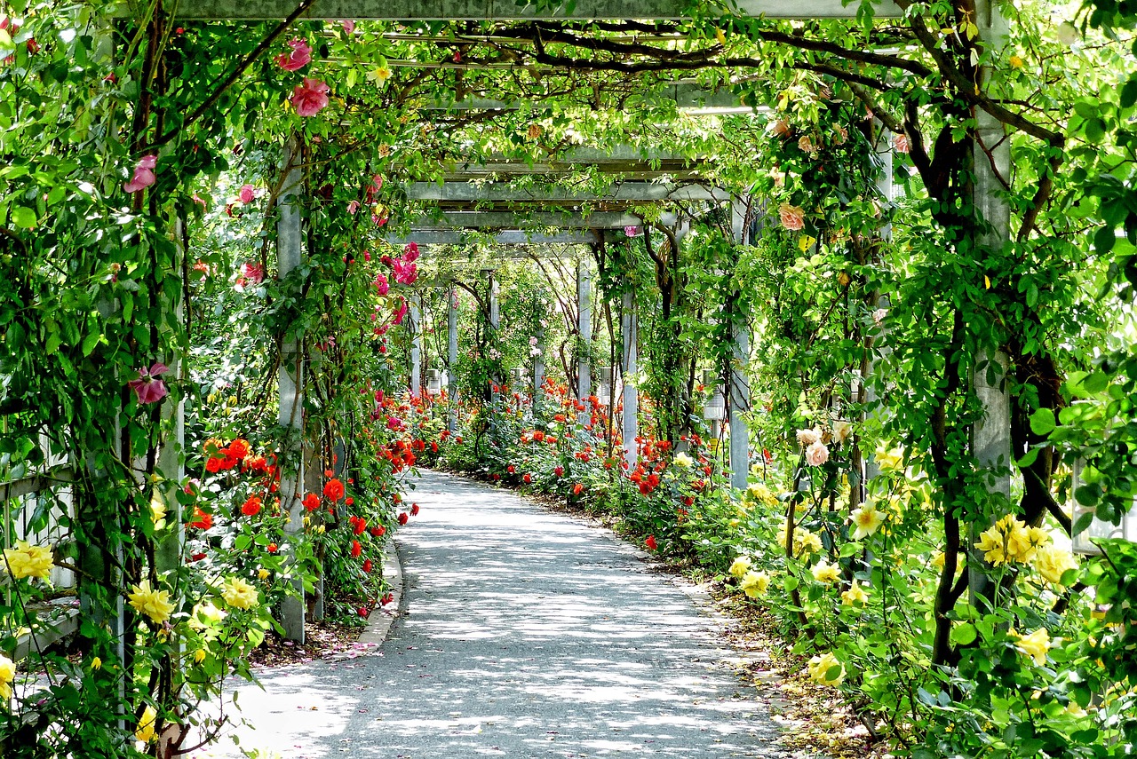 Bohemian pergola omringd door kleurige bloemen. Bohemian pergola omringd door kleurige bloemen.