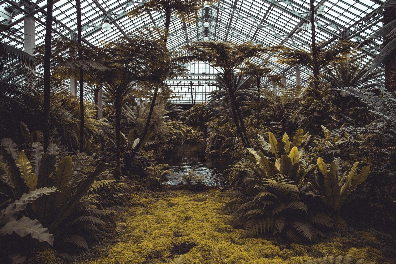 Vogelhuisjes en bloembedden voor biodiversiteit. Vogelhuisjes en bloembedden voor biodiversiteit.