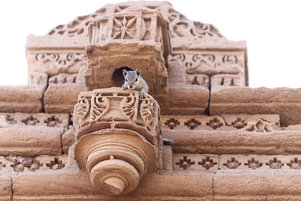 Vogelsculptuur van duurzaam hout in moderne stijl