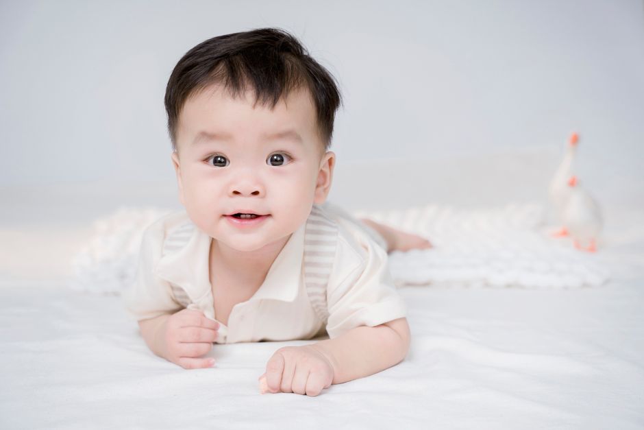 Zacht dieren thema behang voor kinderkamer Zacht dieren thema behang voor kinderkamer
