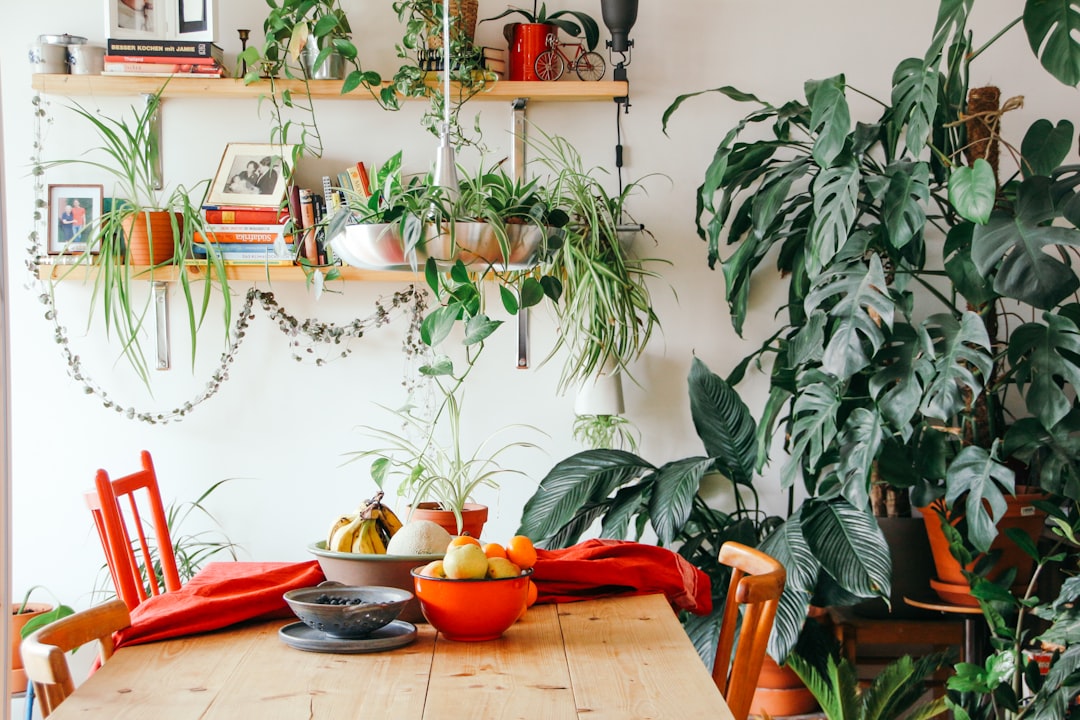 Minimalistische Scandinavische woonkamer met lichte kleuren. Minimalistische Scandinavische woonkamer met lichte kleuren.