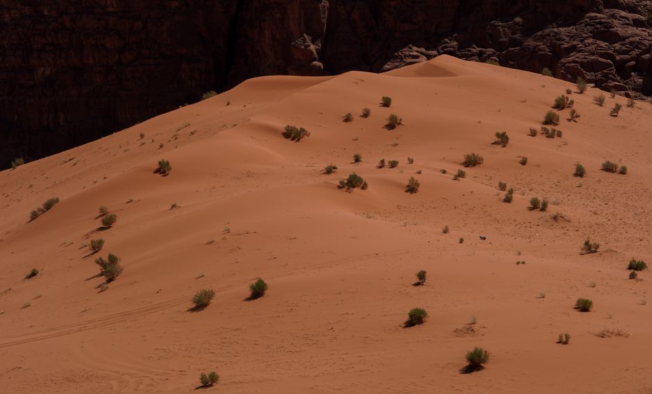 Faraonische standbeelden onder de Egyptische zon. Faraonische standbeelden onder de Egyptische zon.