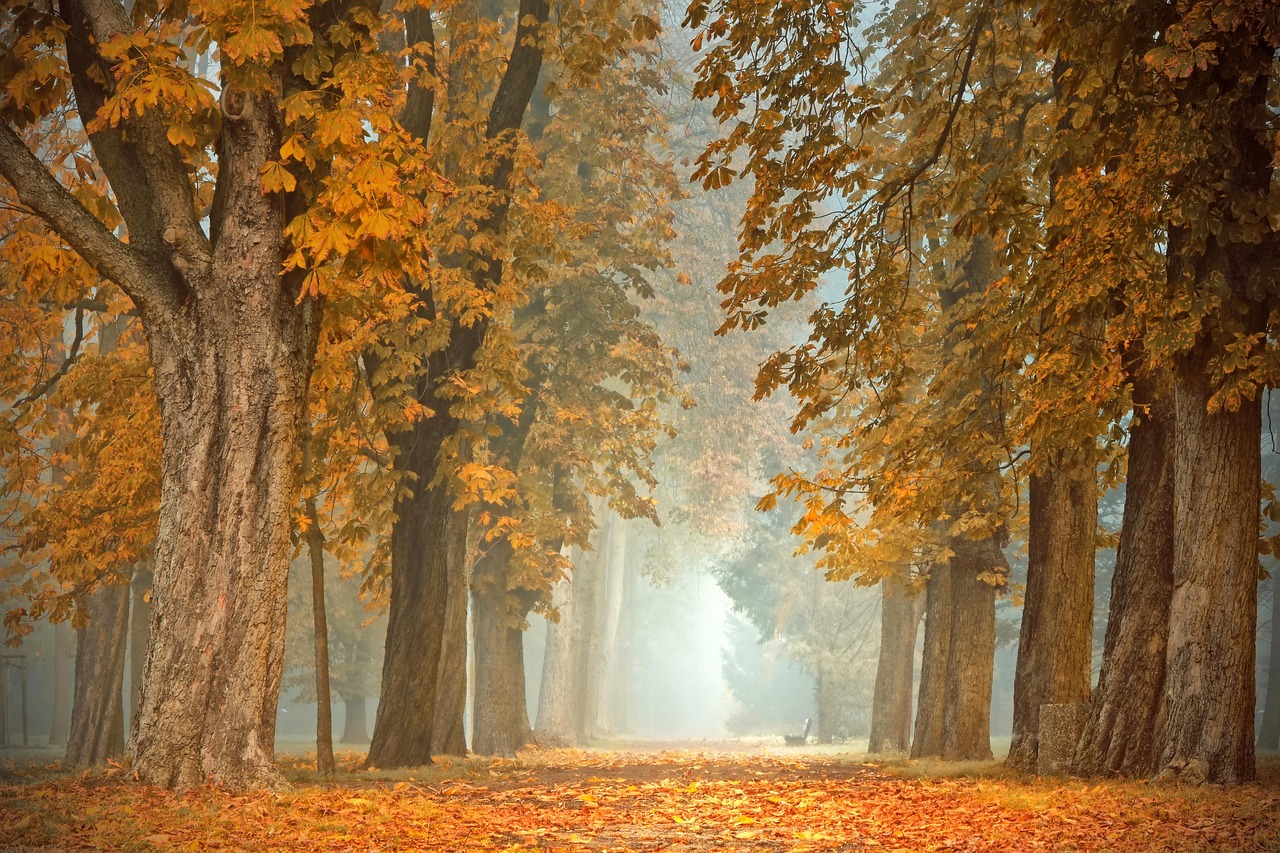 Herfstverlichting binnen creëert gezellige sfeer.
