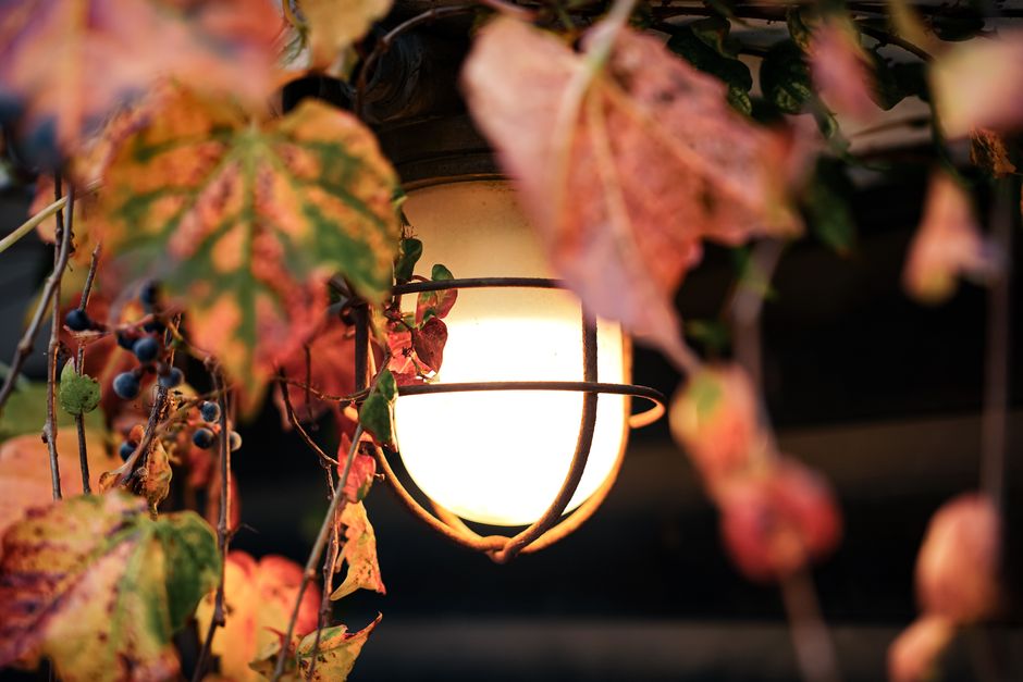 Warme lichtjes stralen buiten tijdens herfst.