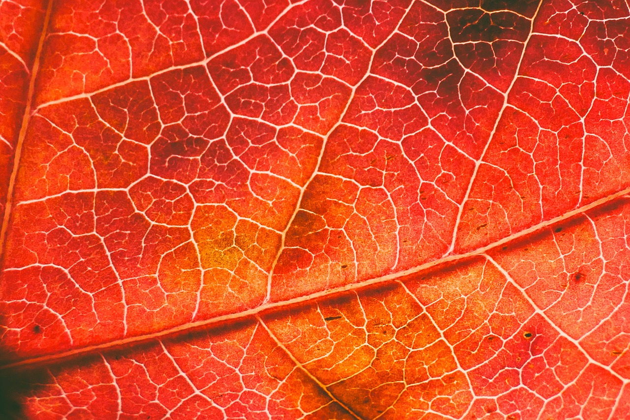 Decoratieve spiegel vergroot woonkamer met herfstkleuren. Decoratieve spiegel vergroot woonkamer met herfstkleuren.